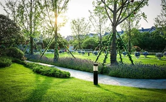 Landscaped Open Spaces