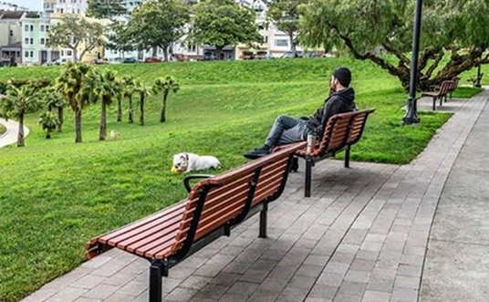 Seating Plaza